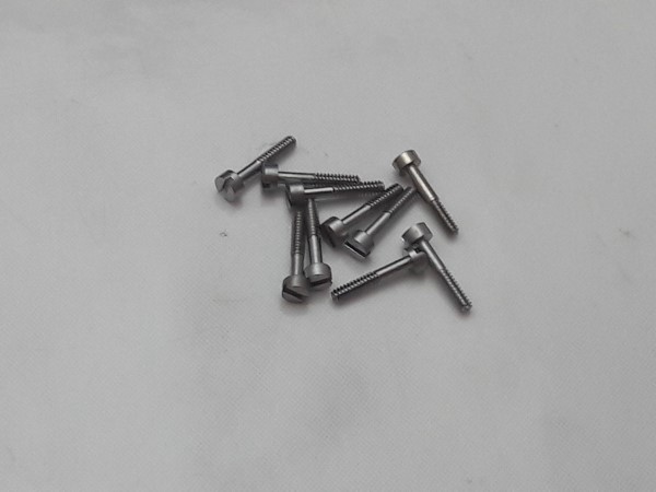 PULSAR PARTS LOT 10 SCREWS TO FIX MODULES FOR PULSAR LED P2 P3 WATCHES