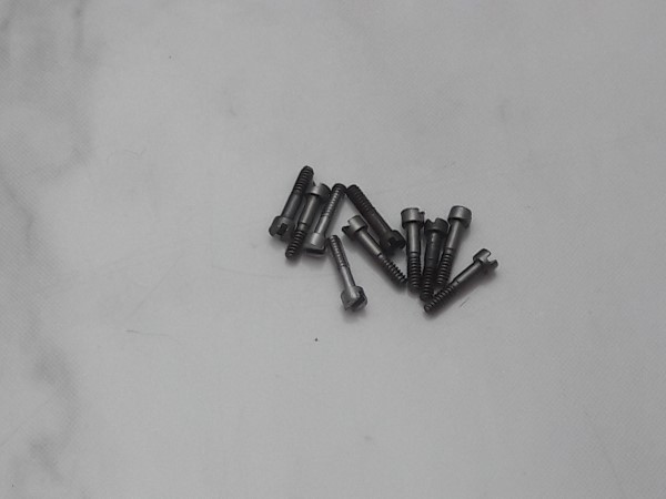 PULSAR PARTS LOT 10 SCREWS TO FIX MODULES FOR PULSAR LED P4 & LADIES WATCHES